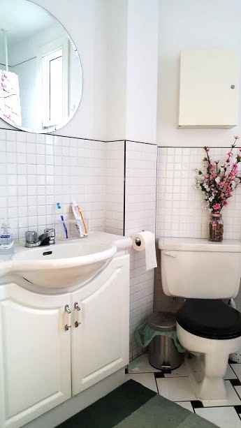 Rue Saint-Urbain & Avenue du Mont-Royal Ouest - Photo 4 of 13