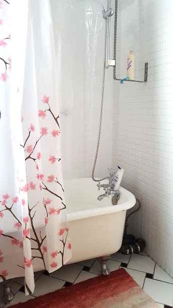 Rue Saint-Urbain & Avenue du Mont-Royal Ouest - Photo 3 of 13