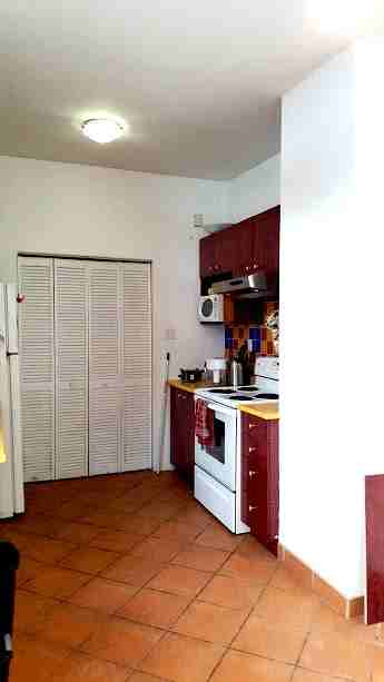 Rue Saint-Urbain & Avenue du Mont-Royal Ouest - Photo 5 of 13