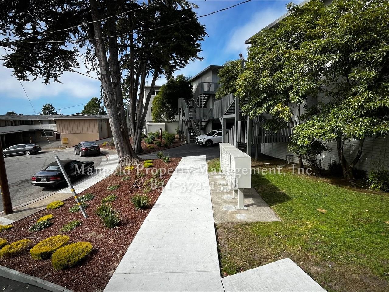 8ark - Photo 4 of 17