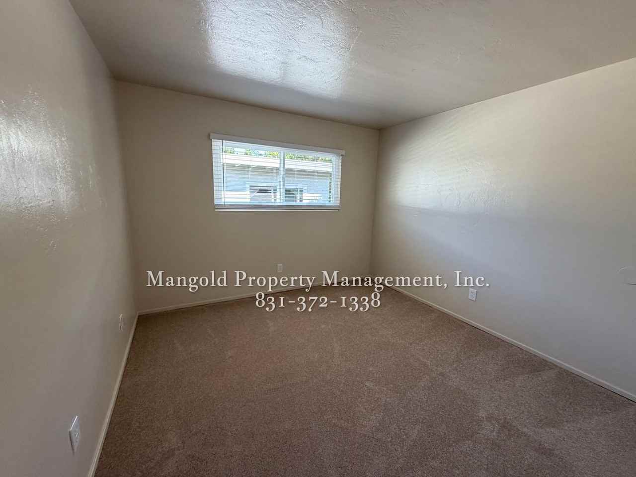 8ark - Photo 4 of 25