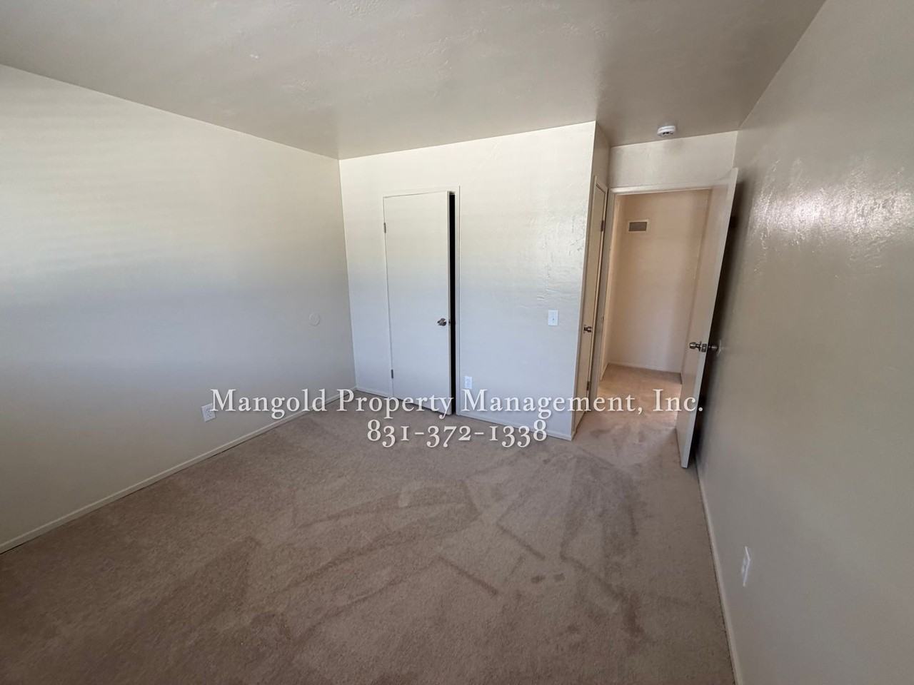 8ark - Photo 5 of 25