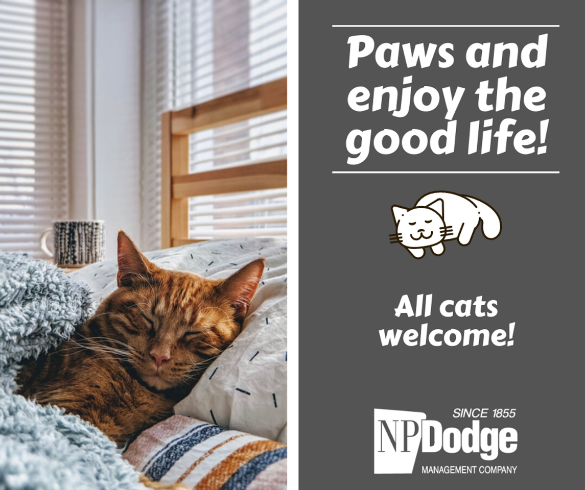 Bel Court Apartments - Photo 3 of 15