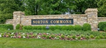 featured image of 6411 Moonseed St