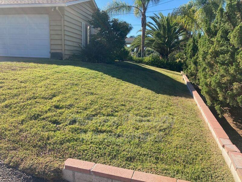 1235 Peach Grove Ln - Photo 3 of 16