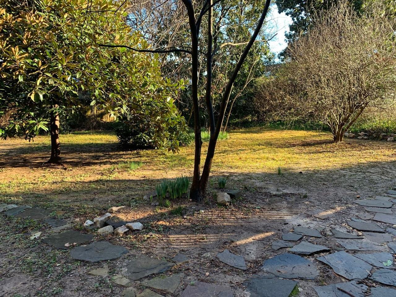 703 Kimbrough St - Photo 2 of 25