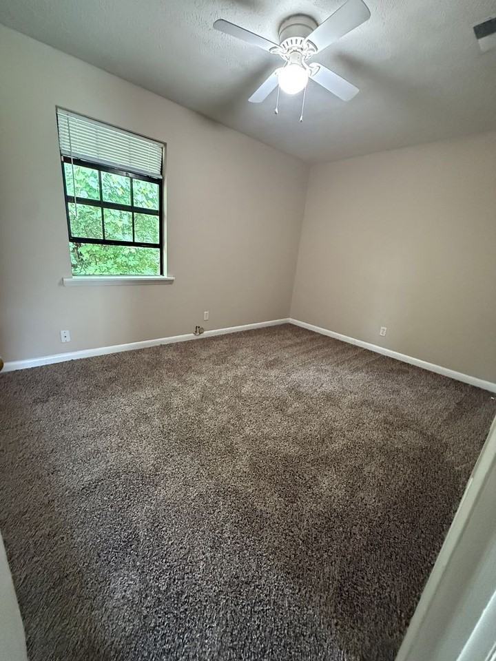 Taylor (HA) - Photo 3 of 7