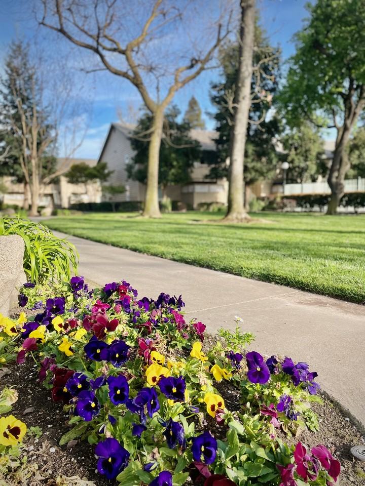 2300 Oakdale Rd #104 - Photo 4 of 15