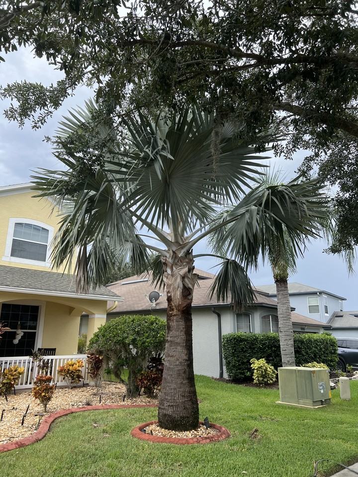 19016 New Passage Blvd #NA - Photo 3 of 13