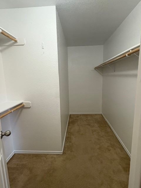 307 Aries Ave #1 - Photo 4 of 15