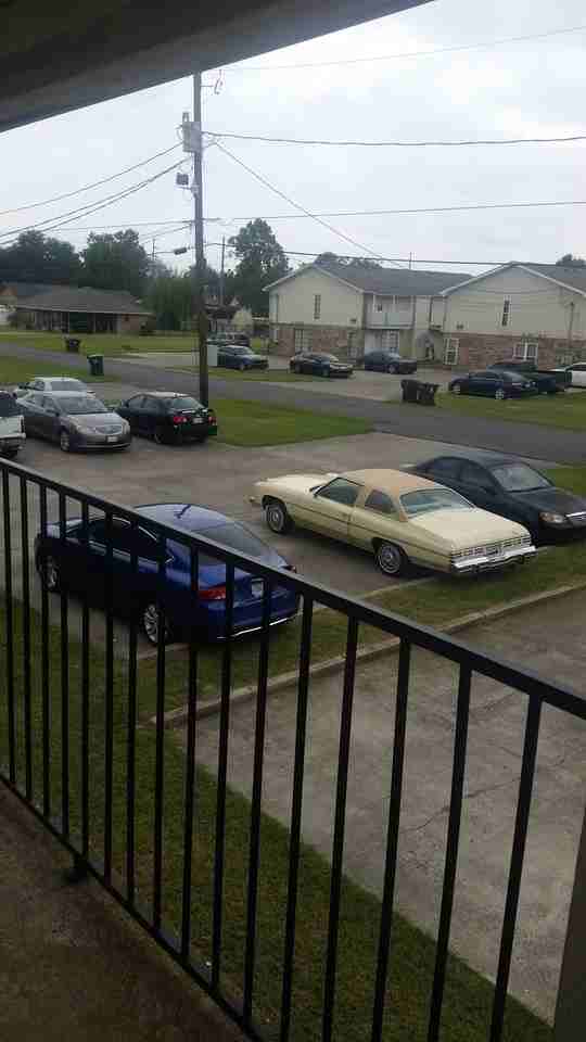 112 Oak Ridge Ave Apt D #1 - Photo 3 of 8