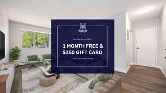 Countess - Photo 1 of 1