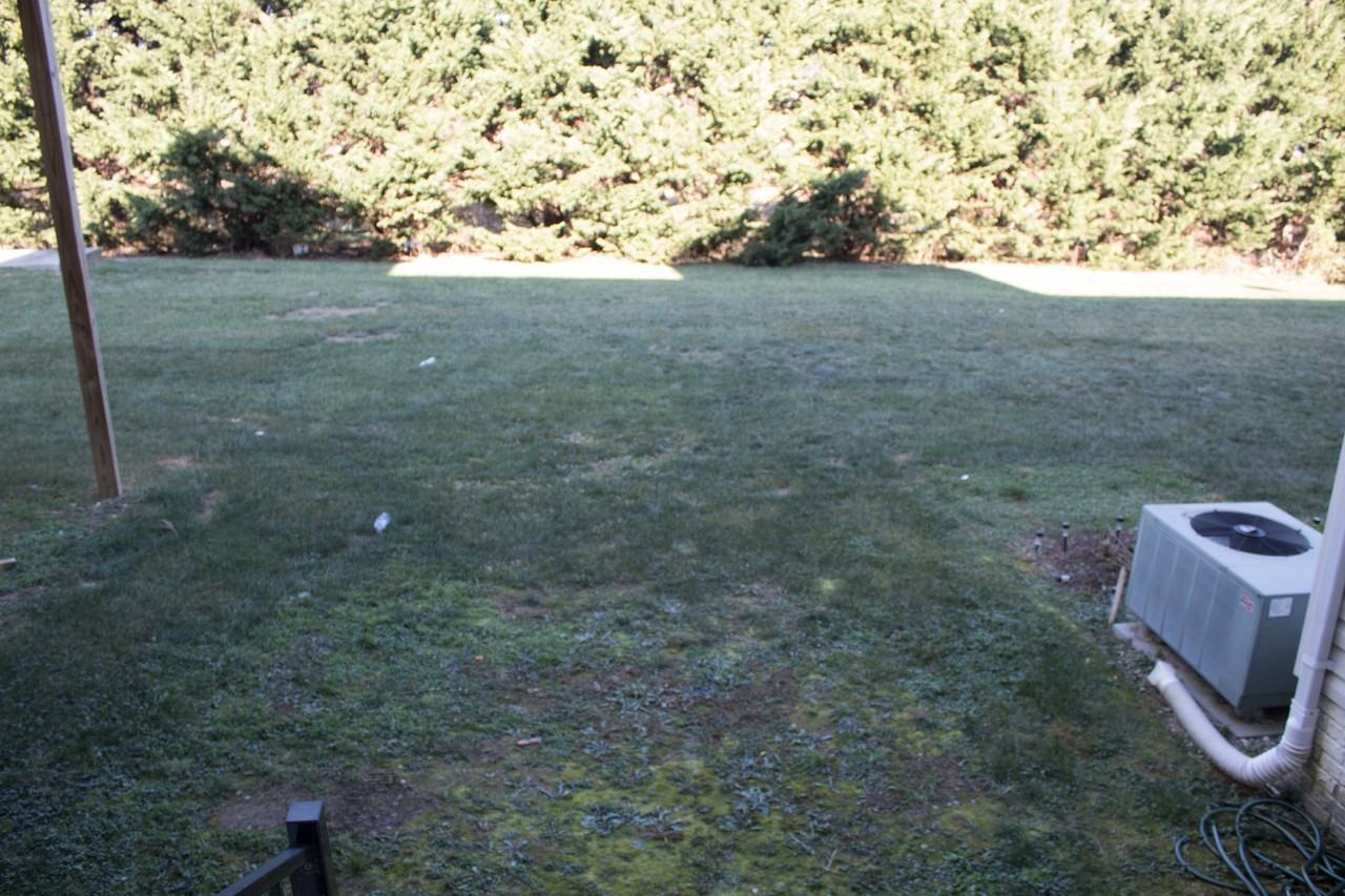 480 Thumper Dr #1 - Photo 2 of 31