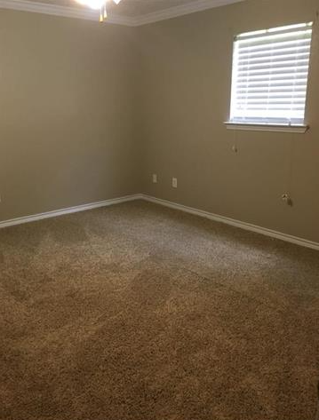 739 Knupple Rd #1 - Photo 6 of 15