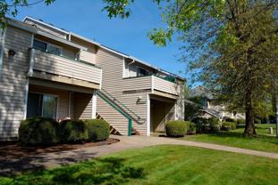 MAXWELL - Photo 1 of 1