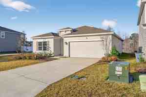 featured image of 1339 Tan Tara Trl