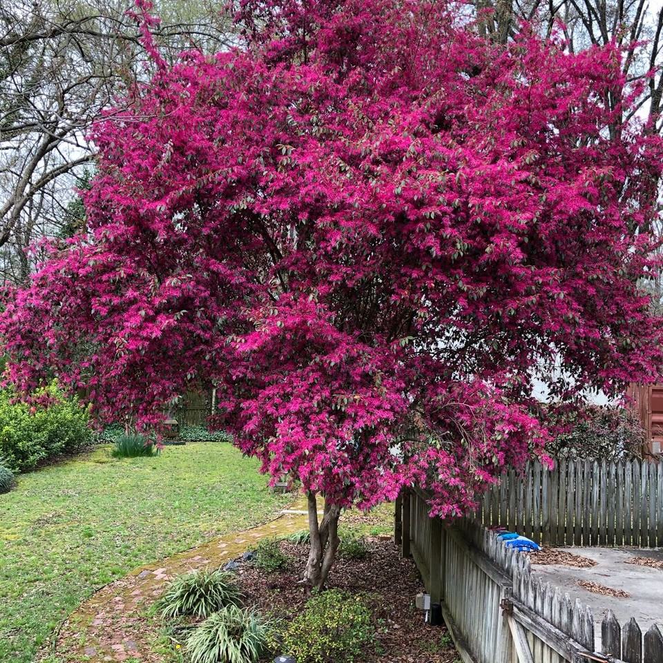 1609 Pecan Ave - Photo 7 of 8