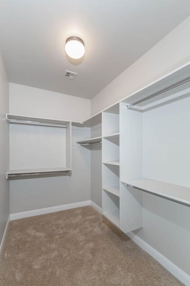 3299 W Palomar - Photo 6 of 27