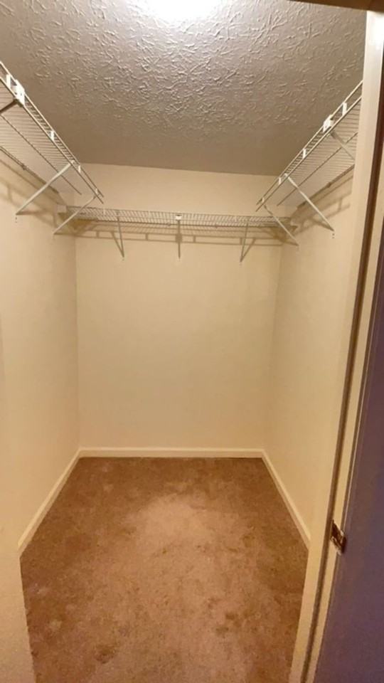 170 Hayfield Cir - Photo 6 of 9