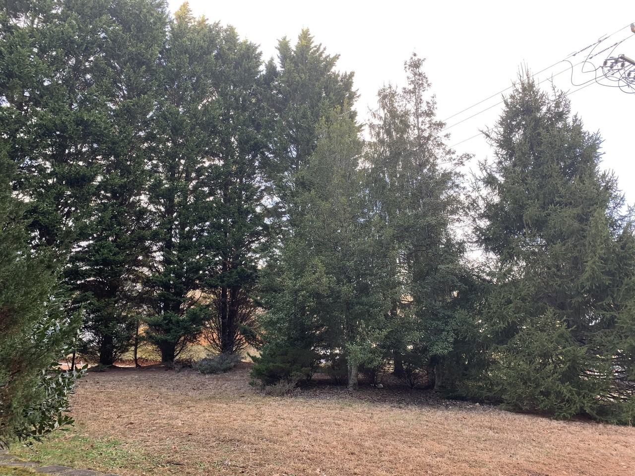 518 Eliada Home Rd - Photo 7 of 10