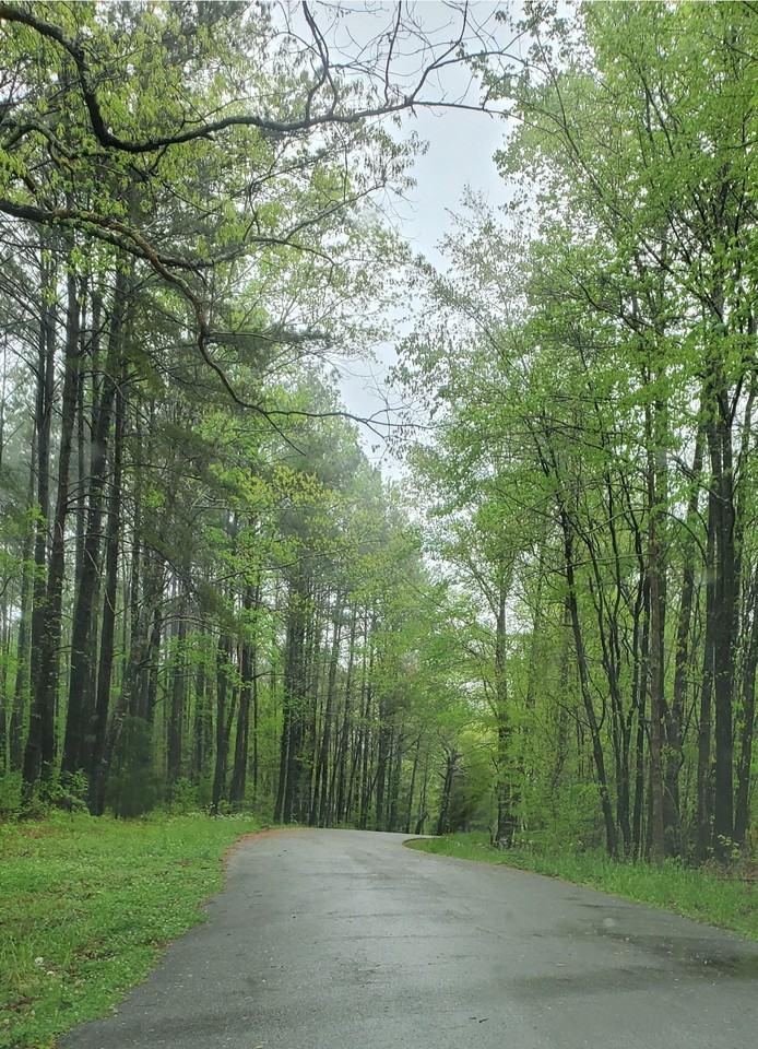 200 Dickey Camp Rd #RV1 - Photo 4 of 9