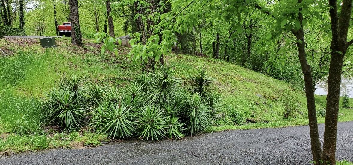 200 Dickey Camp Rd #RV1 - Photo 5 of 9