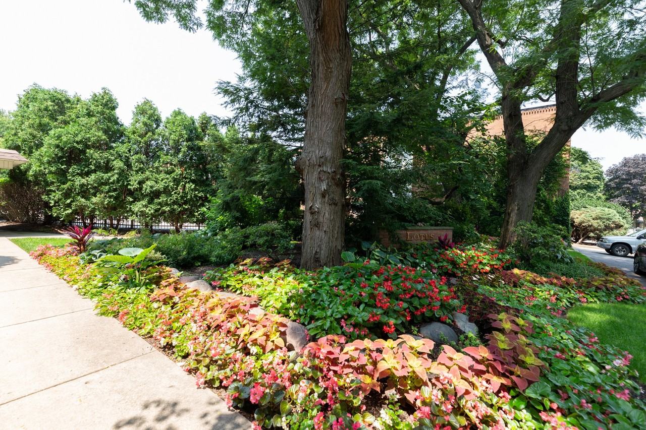 Lotus Garden Apts. - Photo 6 of 11