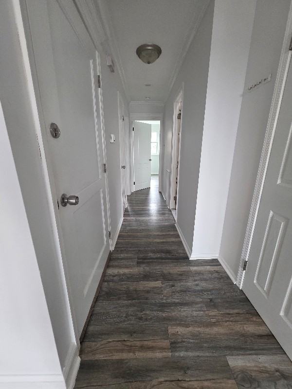 10849 Lockart Rd #2ndFL - Photo 4 of 8