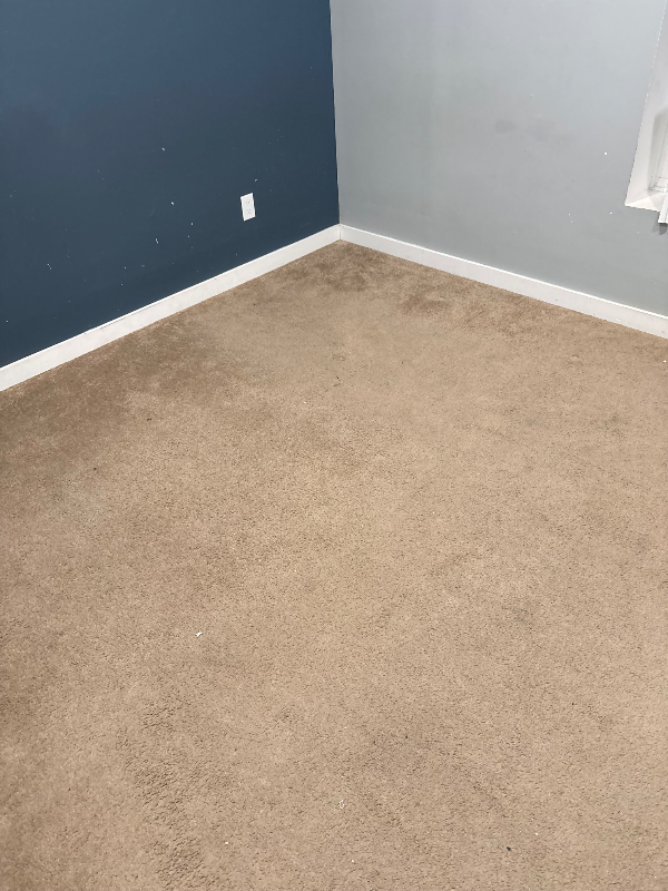 1810 Nebula Ln - Photo 3 of 4