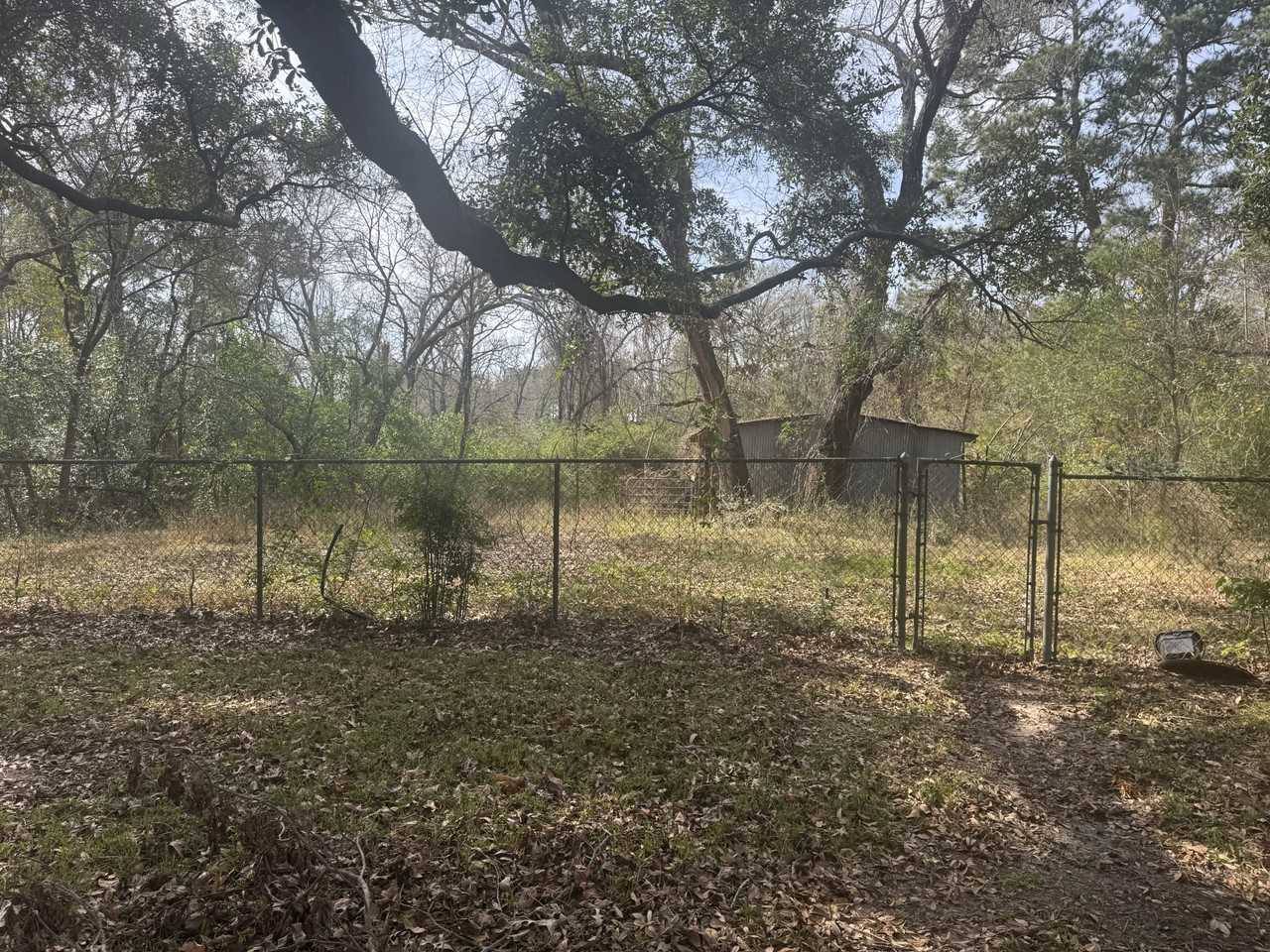 7148 State Highway 75 S #NA - Photo 7 of 14