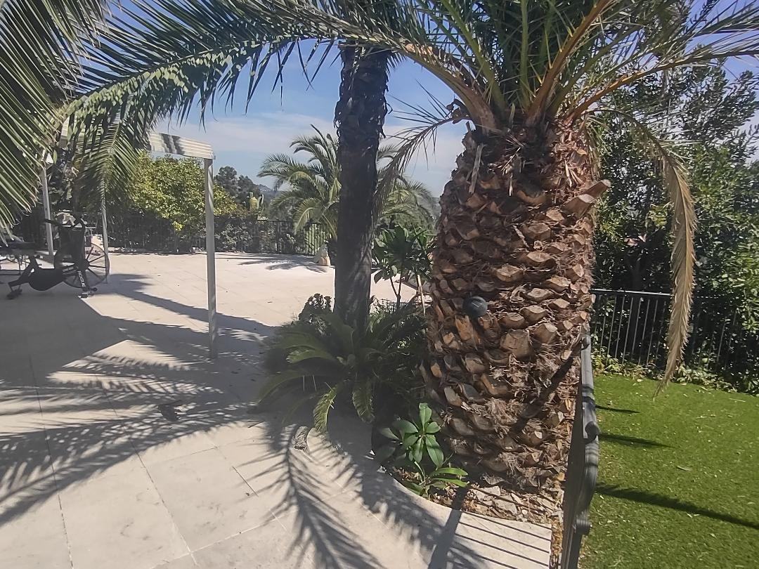 804 Cloverview Dr #NA - Photo 3 of 6