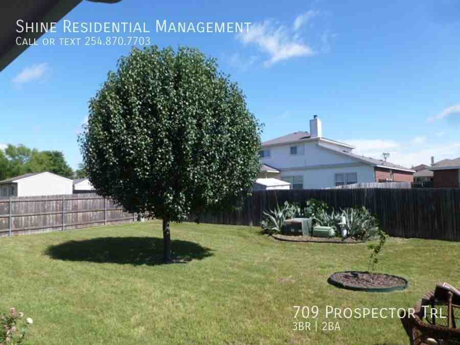 709 Prospector Trl - Photo 3 of 12