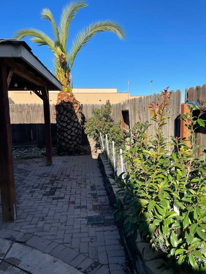 1170 Oatgrass Way - Photo 2 of 24