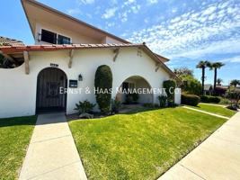 featured image of 242 1/2 Belmont Ave