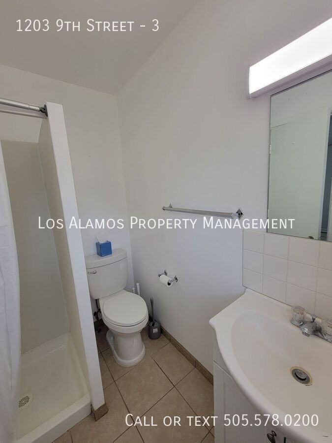 1203 9th St #3 - Photo 4 of 22