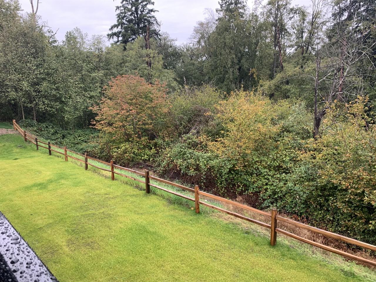 2053 Calico Loop #1 - Photo 6 of 15