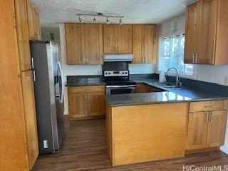 847 Kuikahi St - Photo 4 of 8