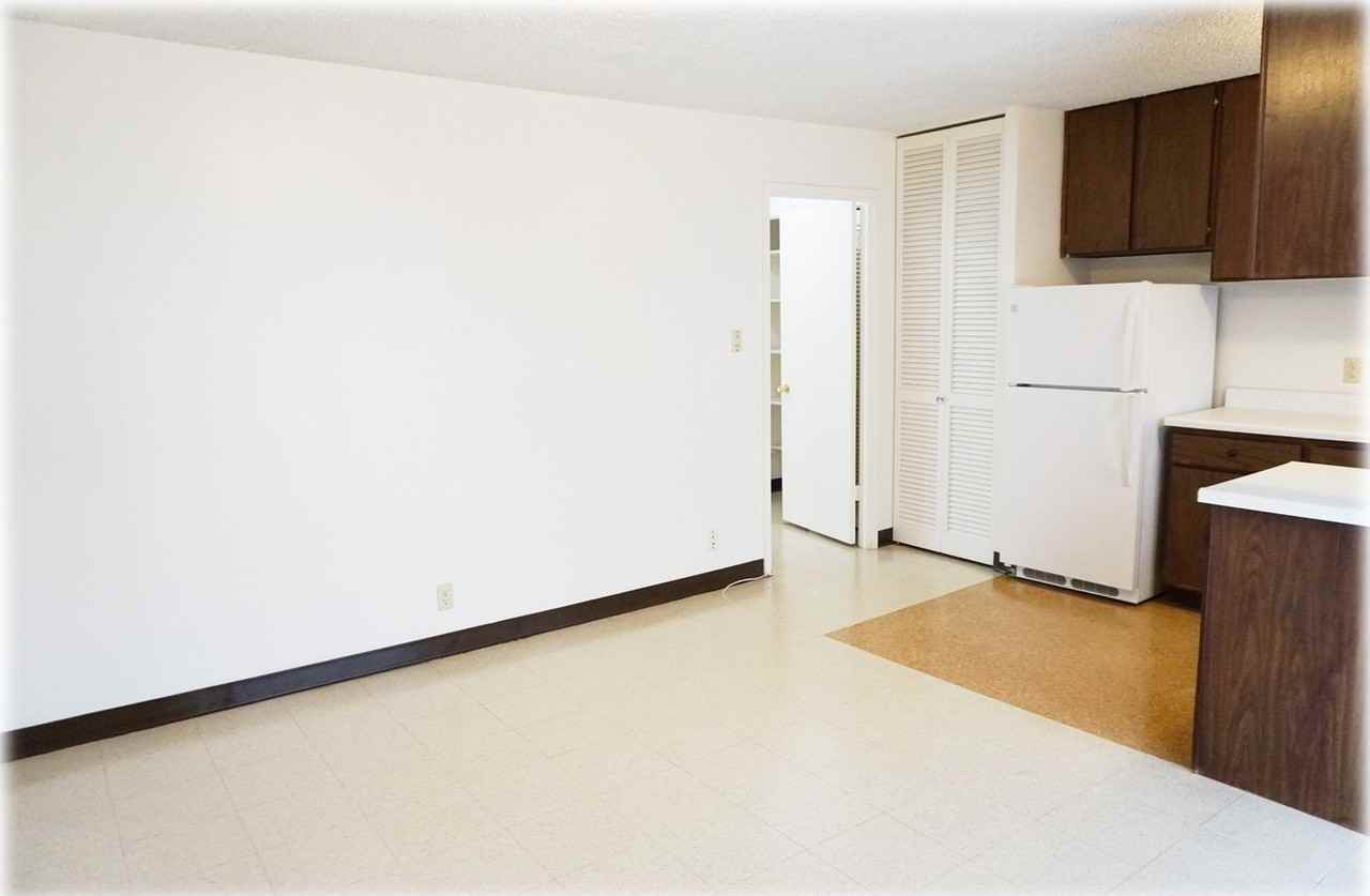 1254 Lunalilo St Apt 203 #203 - Photo 3 of 10