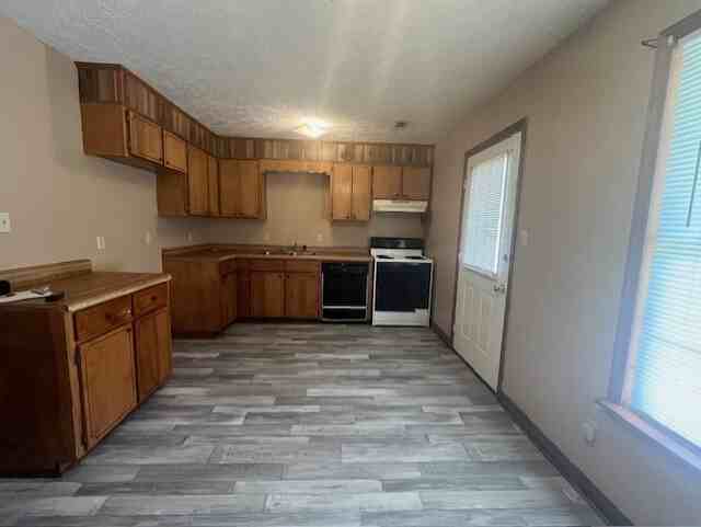 New 279 Easy Street Cove - Photo 4 of 6