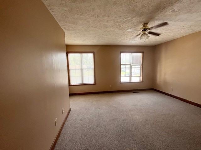 New 279 Easy Street Cove - Photo 5 of 6