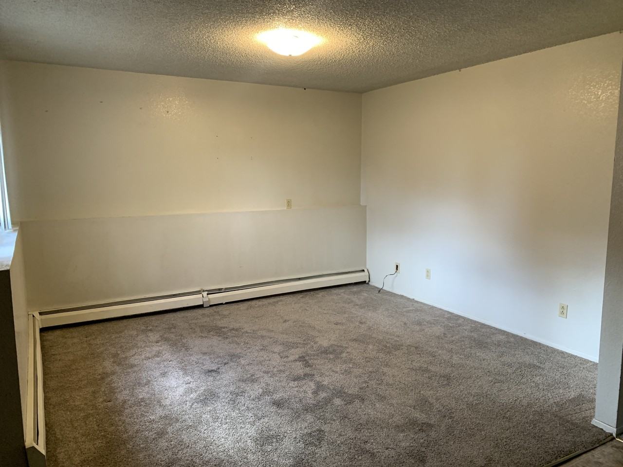 1101 Downey Street - Photo 3 of 5