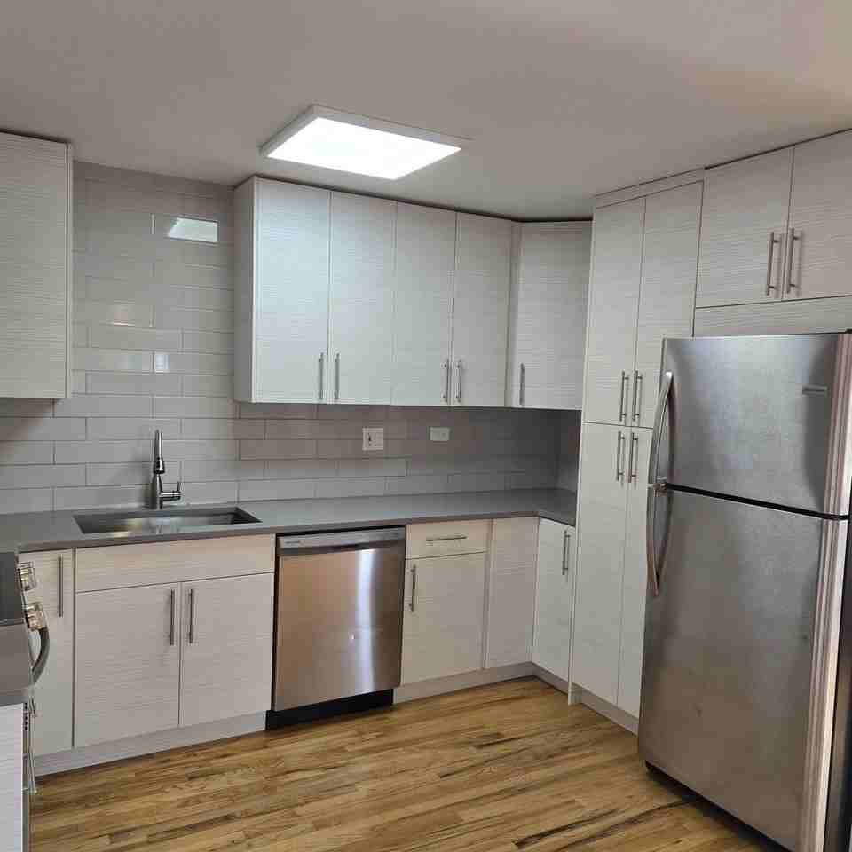 1817 W Touhy Ave Apt 2e #2E - Photo 3 of 19