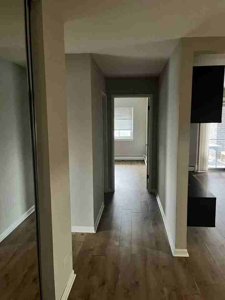 535 S Cleveland Ave Apt 307 #307 - Photo 3 of 14