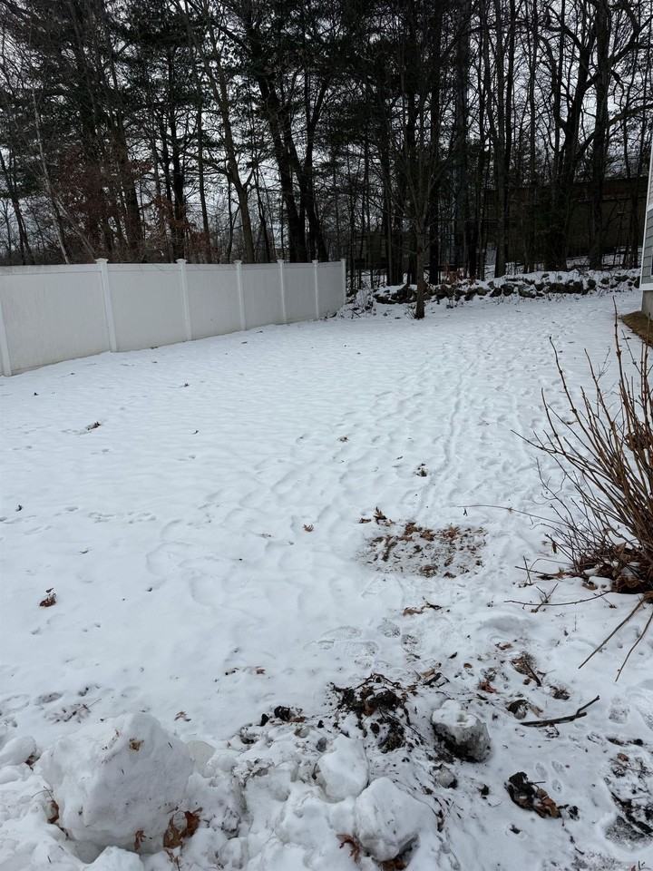 607 Holt Ave - Photo 4 of 4