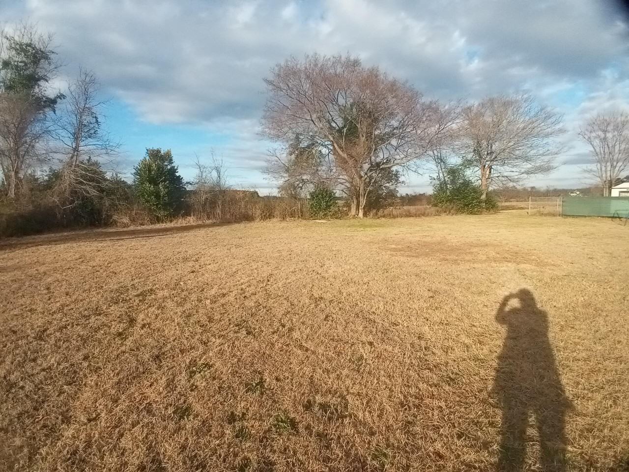 3525 Drayton Dr - Photo 6 of 50