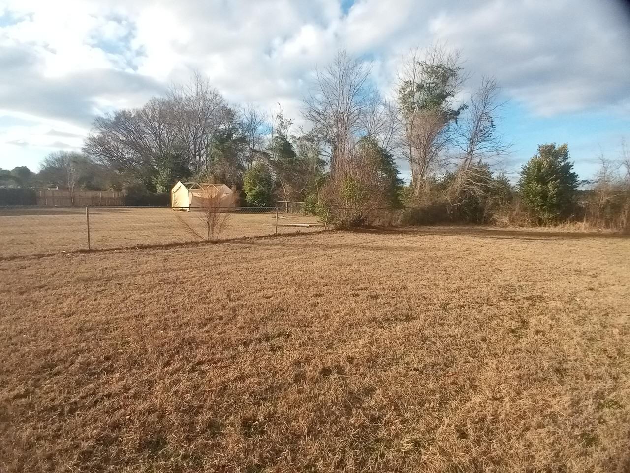 3525 Drayton Dr - Photo 7 of 50