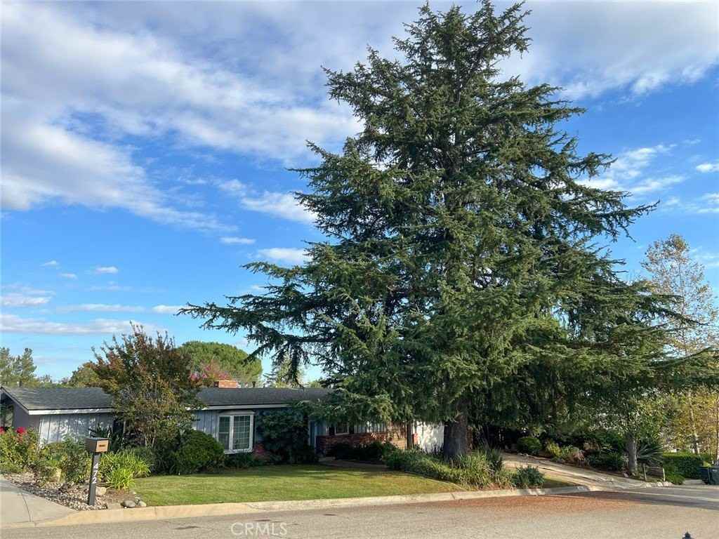 462 Crestvale Dr - Photo 2 of 33