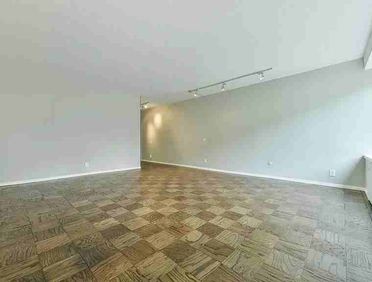 85 E India Row #4G - Photo 7 of 11