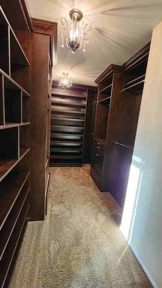 28301 Sunrise Skies Way #NA - Photo 6 of 12