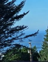 471 Overlook Dr - Photo 1 of 1